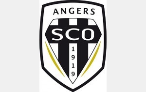 Match de Gala Angers SCO contre Orléans à Beaufort en Vallée. Le mercredi 12 Juillet 2017 - 19H
